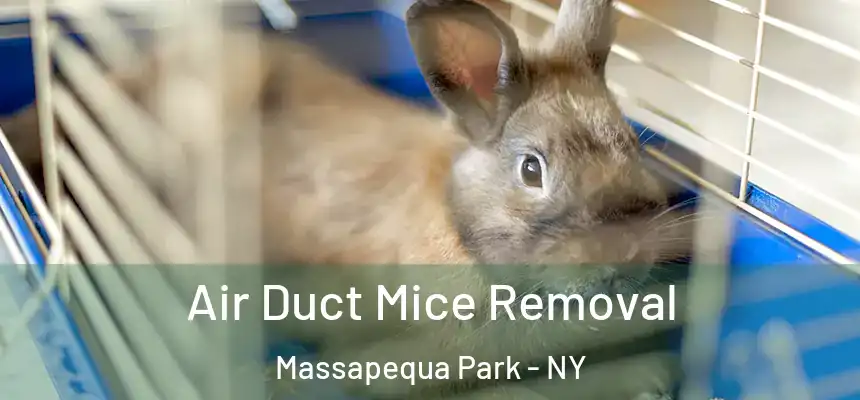  Air Duct Mice Removal Massapequa Park - NY