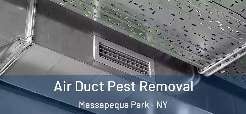  Air Duct Pest Removal Massapequa Park - NY