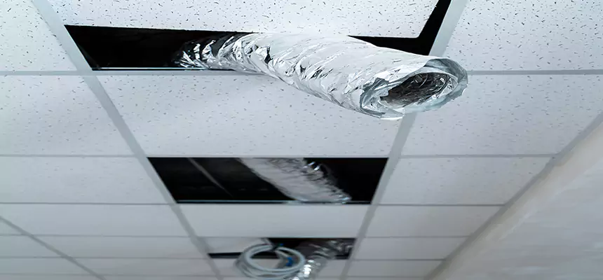 Our Air Duct Pet Hair Removal Services in Massapequa Park, NY