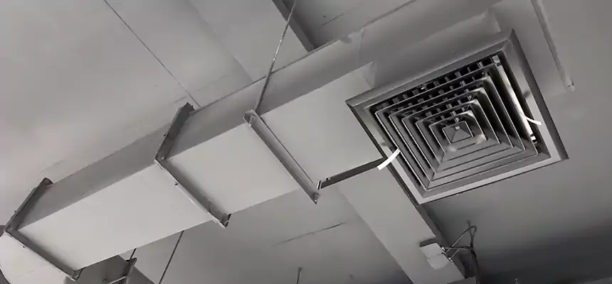 Our Pest Removal From Ducts Services in Massapequa Park, NY