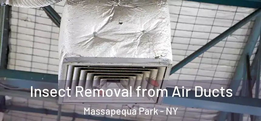  Insect Removal from Air Ducts Massapequa Park - NY