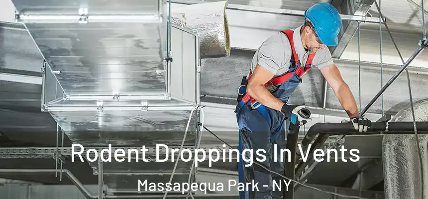 Rodent Droppings In Vents Massapequa Park - NY