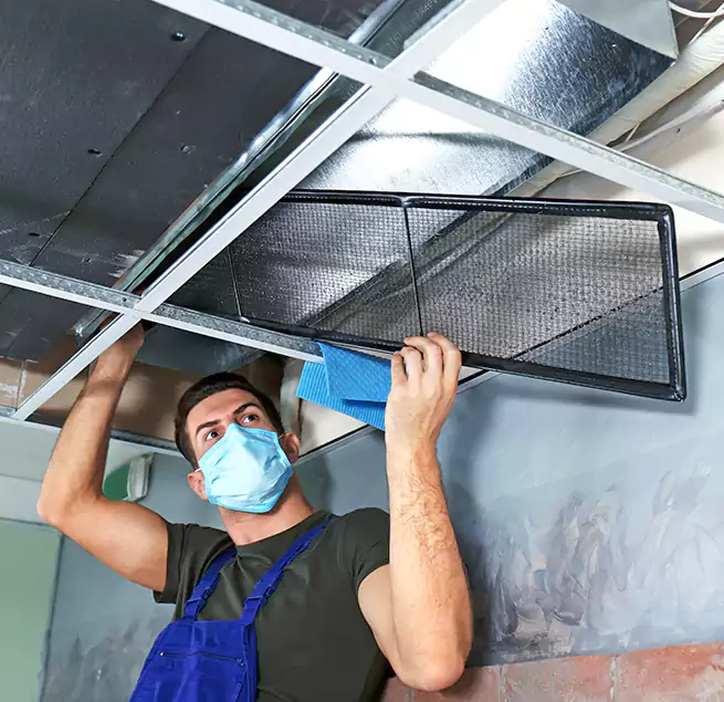 Why Homeowners Businesses Trust Us in Massapequa Park, NY