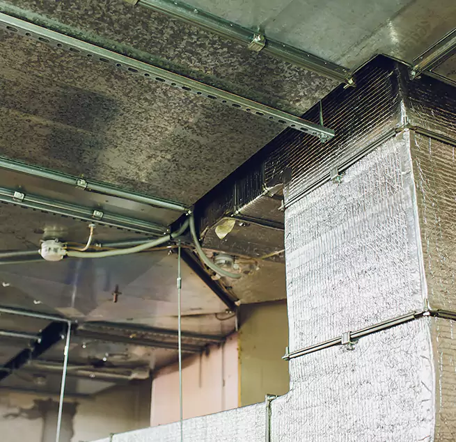 Why Homeowners & Businesses Trust Us in Massapequa Park, NY?